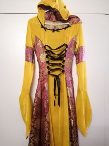 Adult Female Costumes to Hire - Medieval Dress - Mustard & Maroon 